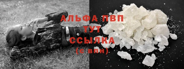 гашик Алексин