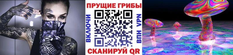 Галлюциногенные грибы Psilocybine cubensis  купить закладку  Чишмы 