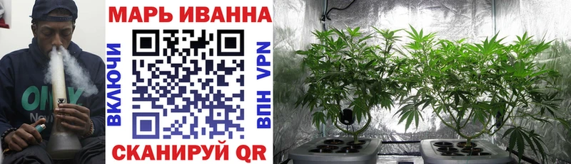 Конопля OG Kush  цена   мега маркетплейс  Чишмы 